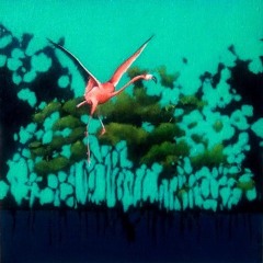 Summer Dream 82