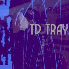 TD Tray - Concrete Jungle