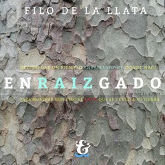 Enraizgado - Muestra de audio