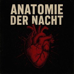 Anatomie der Nacht