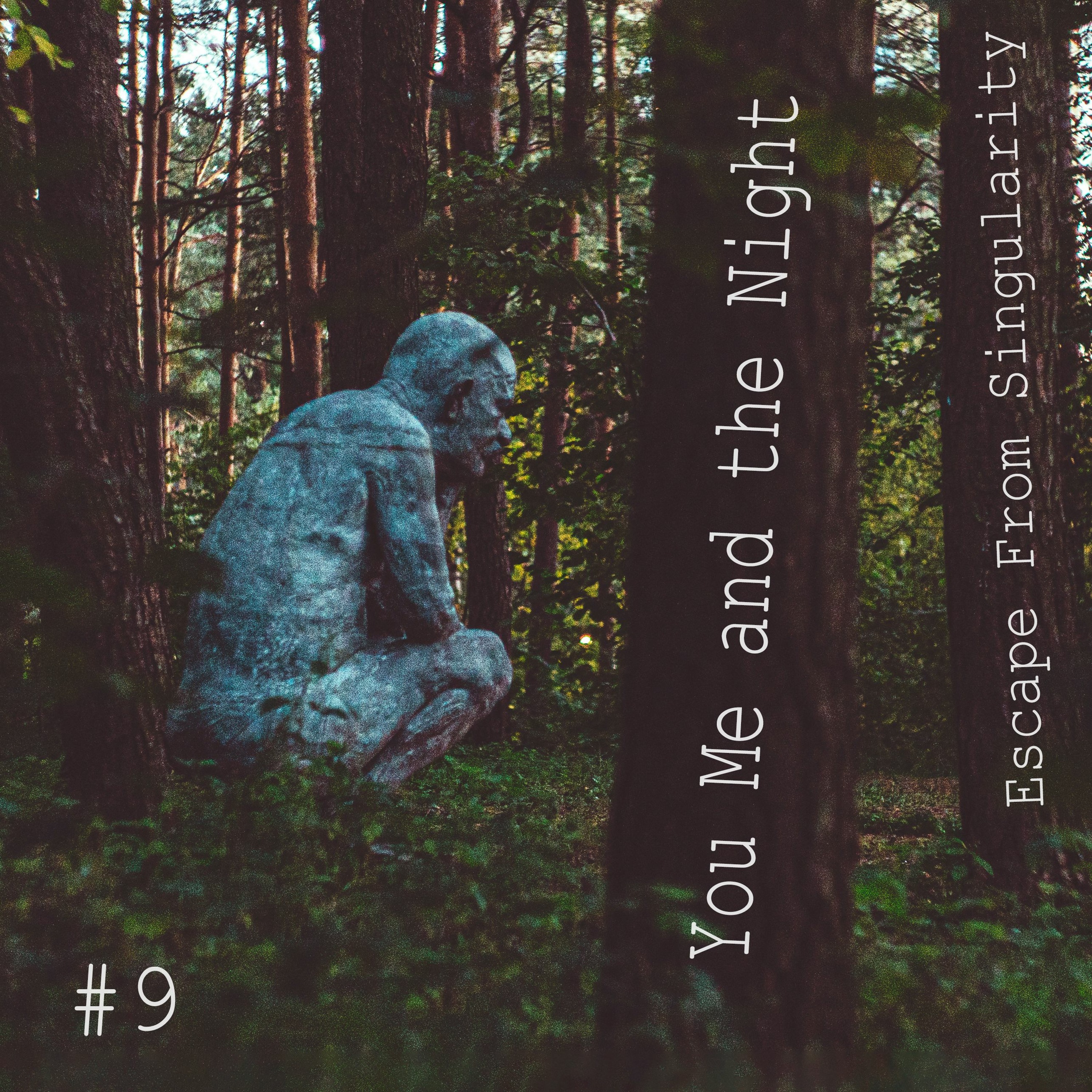 You, Me and the night (Tu, Aš ir naktis)