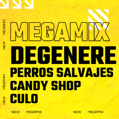 Degenere Mashup (Perros salvajes x Candy shop x Culo) DESCARGA GRATUITA