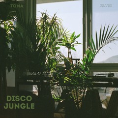 Disco Jungle