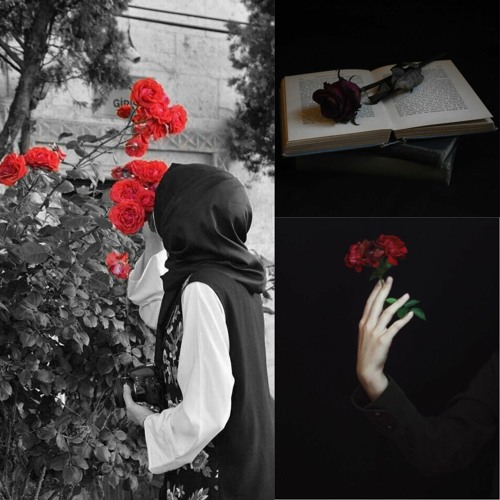 Nabız - Burak Bulut & Kurtuluş Kuş