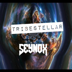 TribeStellar