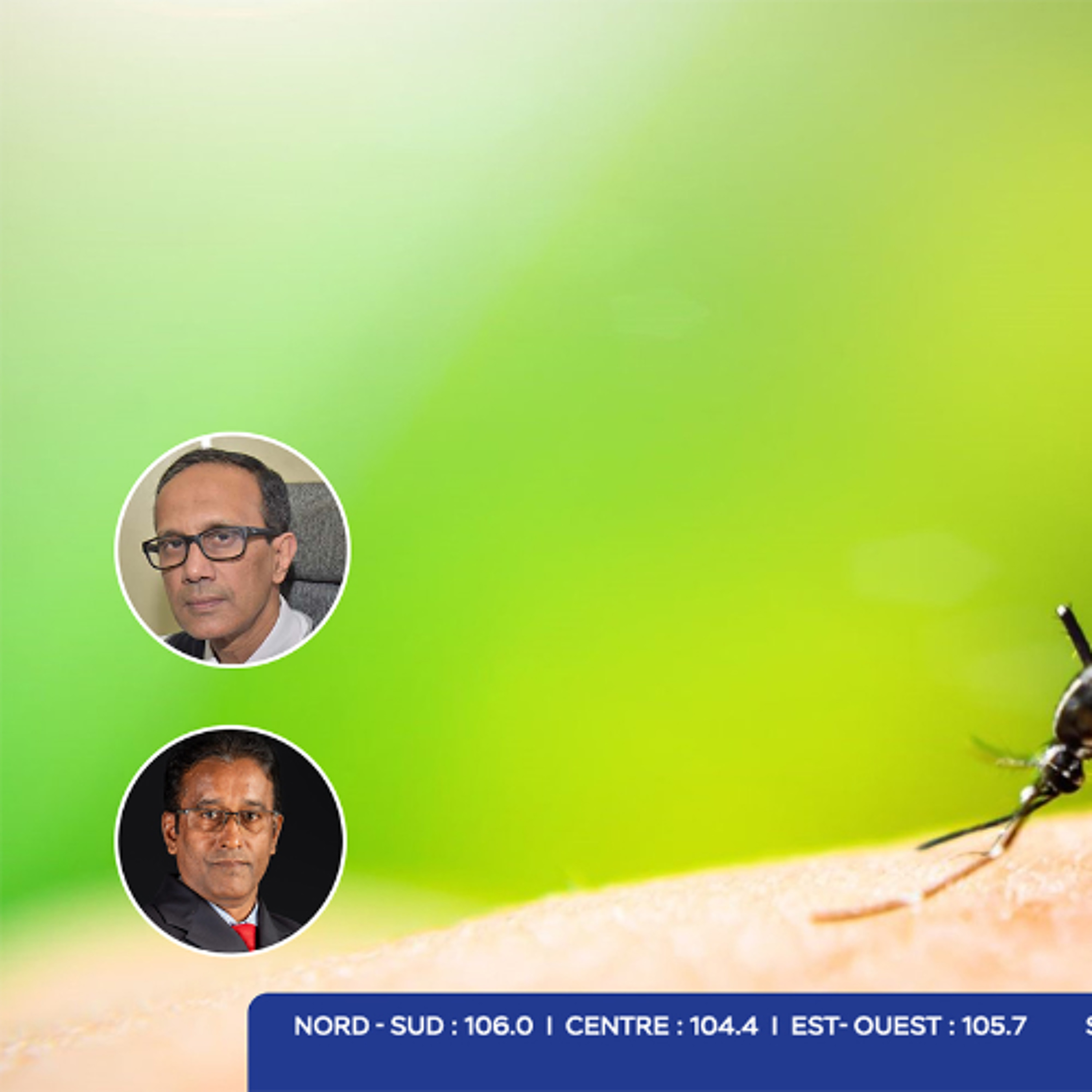 Saison des pluies : la prudence s’impose face aux moustiques