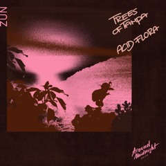 AM016 - Acid Flora & Trees Of Tampa - Zun (Original Mix)