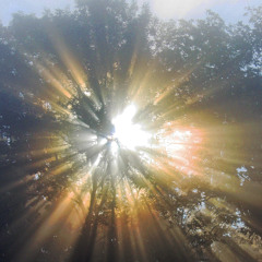 Gayatri Mantra (Light Piercing Through) v2
