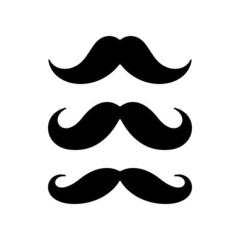 Setuno - Regular City 2025