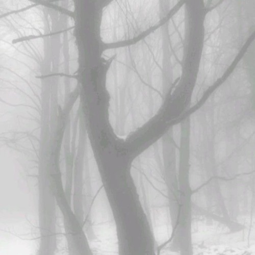 Brought Me More! p. Hecto