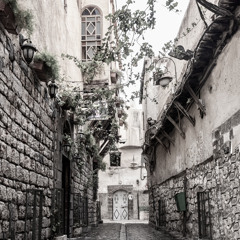 حبُّ الشّامِ- يمان حلمي