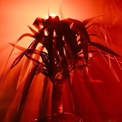 Guest mixes