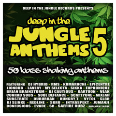 Puffin Erbz (Liondub + Matos & Lovelace Remix)