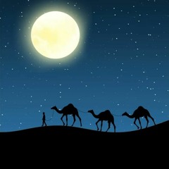 Camel - Under The Moon