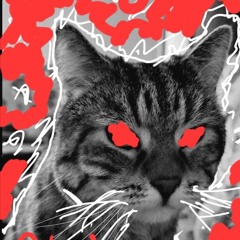 Schabernack gato emocionado  27.12.24 only vinyl.mp3