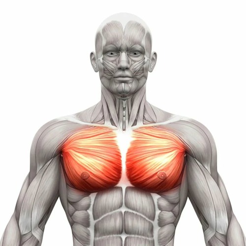Stream Pulled Chest Muscle Or Crack __FULL__ed Rib from Jim Listen