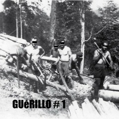 GuériLLo #1