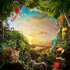 Welcome to the Jungle P1