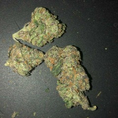 Mary jane Prod bonkai
