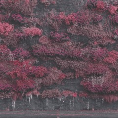EV3N 1N ARC4D1A