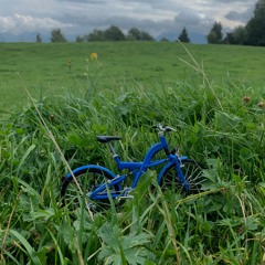 Bitschu Batschu - Fahrrad