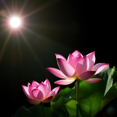 Relève-toi mon fils