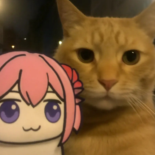 哈基米𝑨𝒍𝒍 𝑾𝒆 𝑲𝒏𝒐𝒘2025哈基米拜年基单品