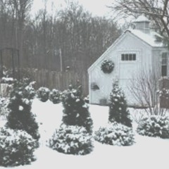 Hypothermic Dream