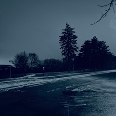 the mockingbird died