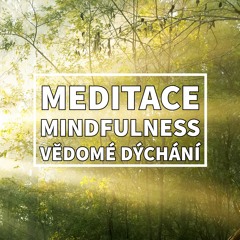 MEDITACE Dechu: Praxe mindfulness (všímavosti) pro zklidnění mysli a úlevu od stresu
