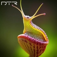The Carnivorous  Plant And The Snail