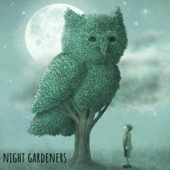 The Gymnast, High Above The Ground (The Decemberists cover)