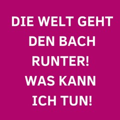 Die Welt geht den Bach runter! Was kann ich tun?