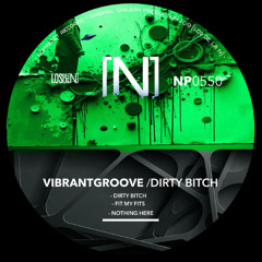 Vibrantgroove - Fit My Fits (Original Mix)