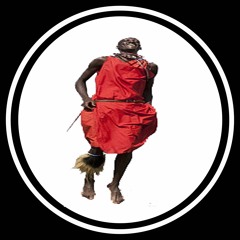 LEVITATE - A Spiritually Uplifting House Music Experience Volume 2 (eric.N.stereo of THE FUNK INN)