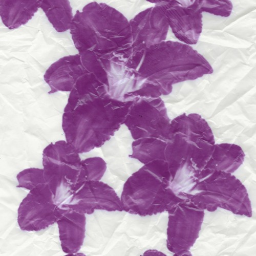 ᶻᵃᶻᵃ ᵇʸ ᵐᵒⁿᵗᵉ ᵇᵒᵒᵏᵉʳ ʷᶦᵗʰ ᵐʸ ᵛᵒᶜᵃˡˢ ᵒⁿ ᶦᵗ ᵗʷᶦᶜ ᵉ