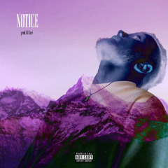notice (prod. lil fari)