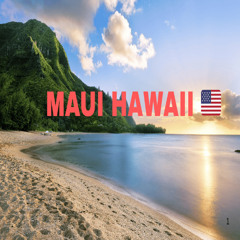 Swedish House Mafia Maui Live Set | Anyma, Artbat, Afterlife, John Summit,Camelphat |Melodic Techno