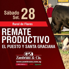 Nazario Irazábal - Remate Productivo