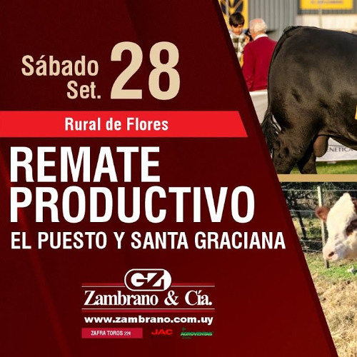 Nazario Irazábal - Remate Productivo