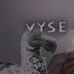 vyse x M0LLI - DODO