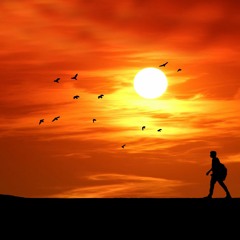 07.12.23 / Exploring the World at the Speed of Andante