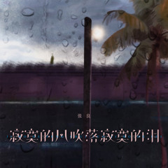 寂寞的风吹落寂寞的泪 (伴奏)