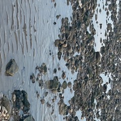 Lloyd - Industrial Elements