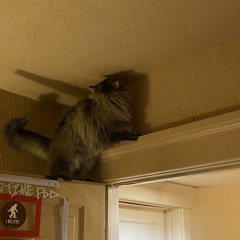 Would you like you if you meet you