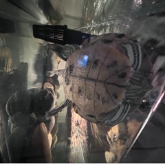 keepurpaceup! - demo 1