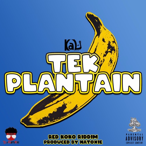 Tek Plantain (Raw)