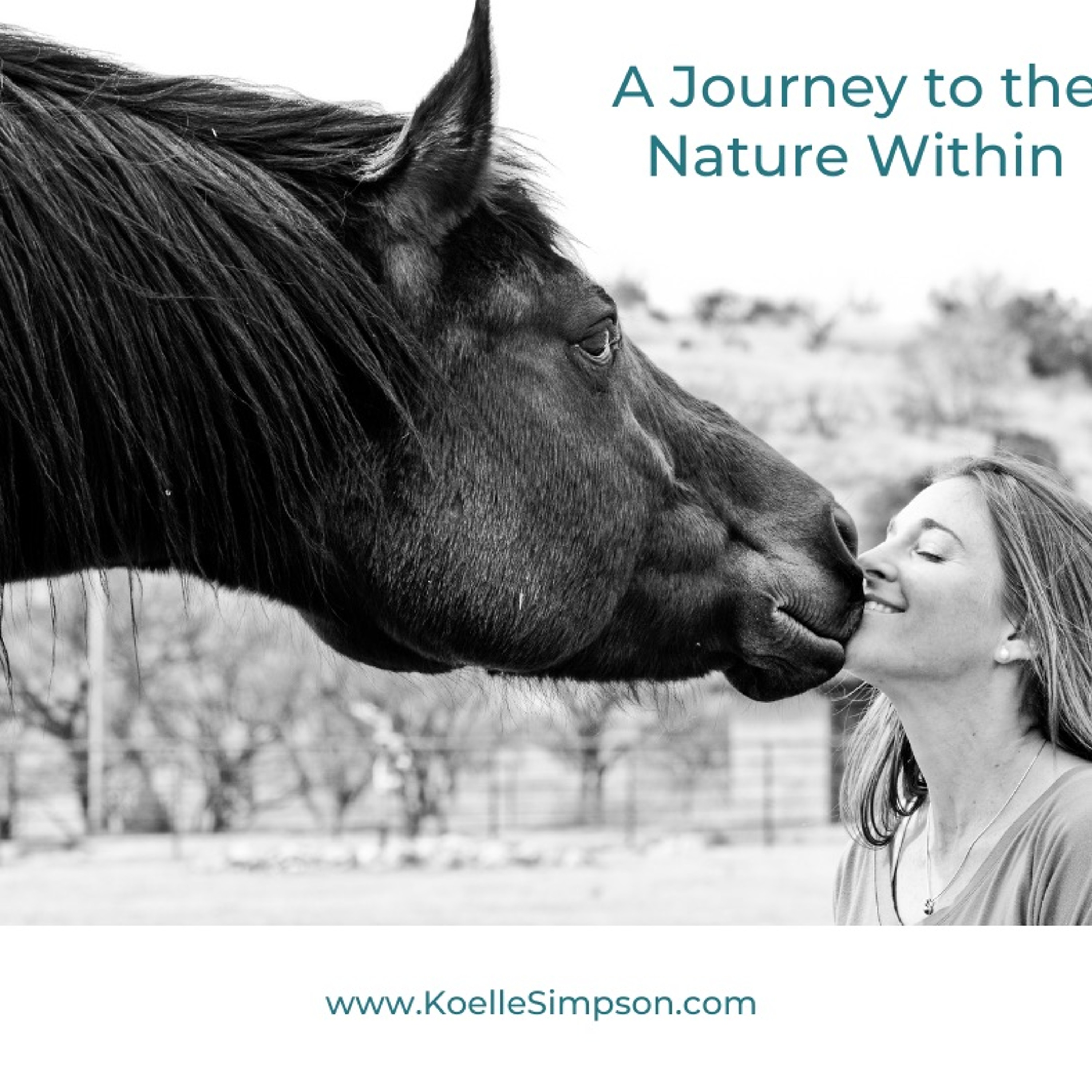 Ep. 16 Meghan Walla Murphy Shares Bear Wisdom
