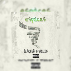 BLACKVR x WILIX - ESPÈCES 💵