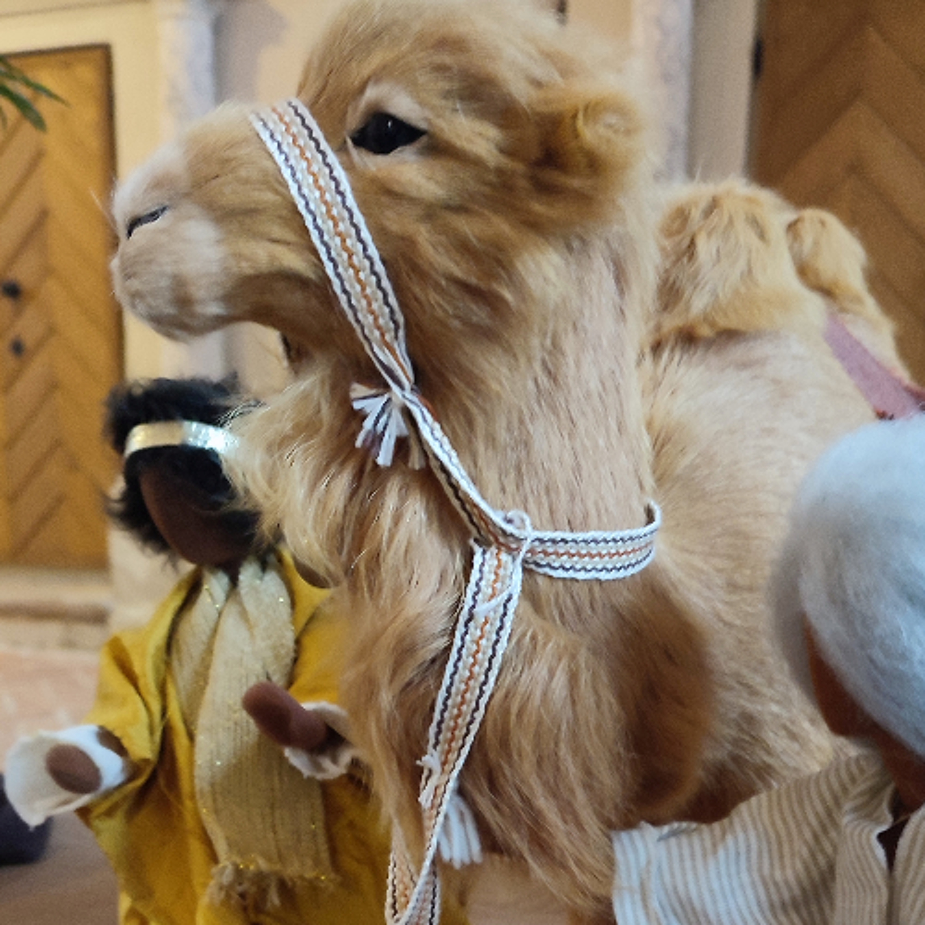 Kinderkathedrale in der Katharinenkirche Salzwedel